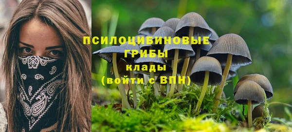 дмт Белокуриха