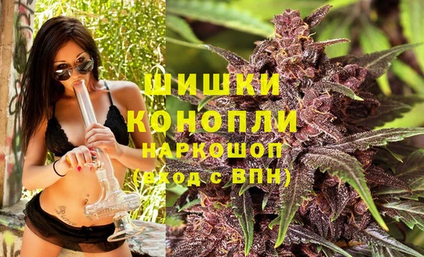 дмт Белокуриха