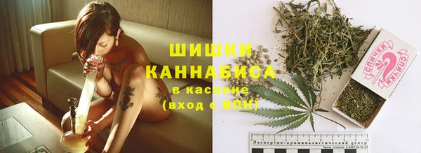 дмт Белокуриха