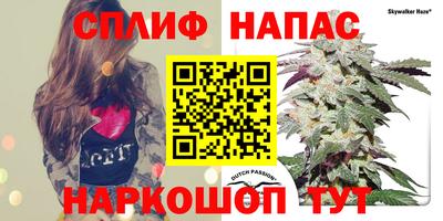 круглые Лесосибирск